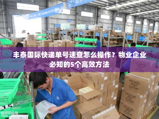 丰泰国际快递单号速查怎么操作?物业企业必知的5个高效方法 丰泰国际快递单号速查怎么操作?物业企业必知的5个高效方法