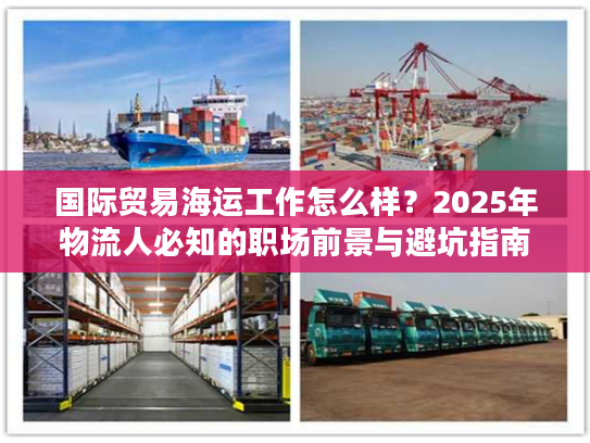 国际贸易海运工作怎么样？2025年物流人必知的职场前景与避坑指南