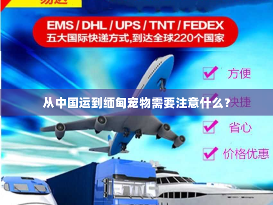 从中国运到缅甸宠物需要注意什么? 从中国运到缅甸宠物需要注意什么?