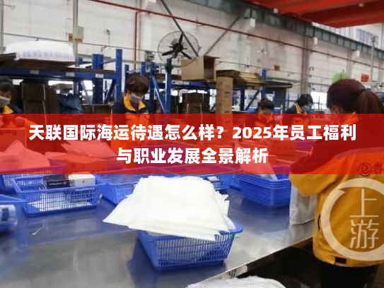 天联国际海运待遇怎么样?2025年员工福利与职业发展全景解析 天联国际海运待遇怎么样?2025年员工福利与职业发展全景解析