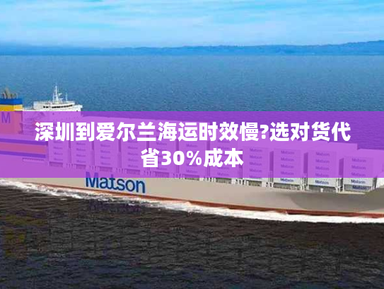 深圳到爱尔兰海运时效慢?选对货代省30%成本