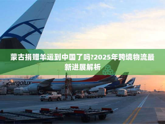 蒙古捐赠羊运到中国了吗?2025年跨境物流最新进展解析 蒙古捐赠羊运到中国了吗?2025年跨境物流最新进展解析