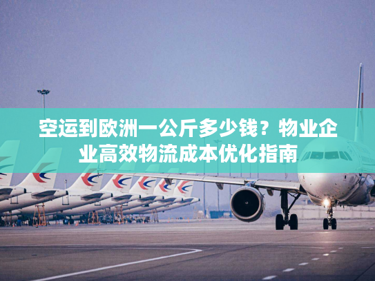 空运到欧洲一公斤多少钱？物业企业高效物流成本优化指南