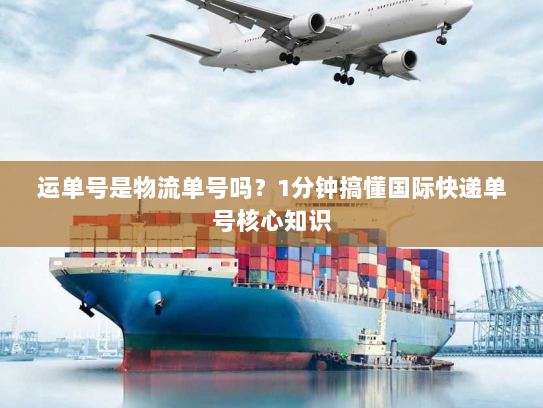 运单号是物流单号吗?1分钟搞懂国际快递单号核心知识 运单号是物流单号吗?1分钟搞懂国际快递单号核心知识