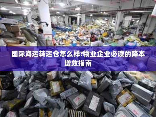 国际海运转运仓怎么样?物业企业必读的降本增效指南 国际海运转运仓怎么样?物业企业必读的降本增效指南