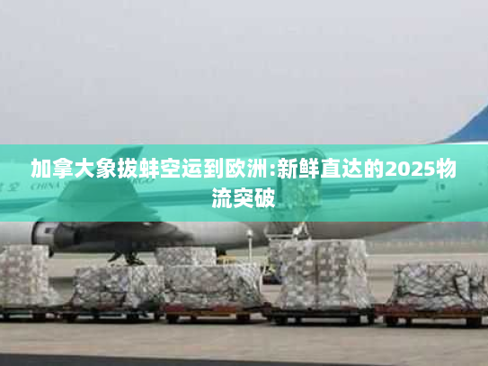 加拿大象拔蚌空运到欧洲:新鲜直达的2025物流突破 加拿大象拔蚌空运到欧洲:新鲜直达的2025物流突破