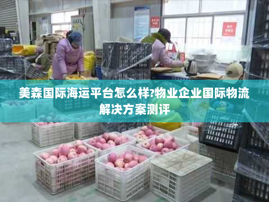 美森国际海运平台怎么样?物业企业国际物流解决方案测评 美森国际海运平台怎么样?物业企业国际物流解决方案测评
