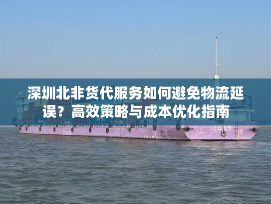 深圳北非货代服务如何避免物流延误？高效策略与成本优化指南