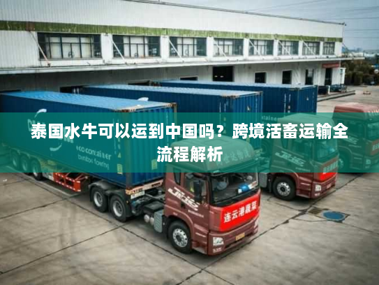 泰国水牛可以运到中国吗?跨境活畜运输全流程解析 泰国水牛可以运到中国吗?跨境活畜运输全流程解析