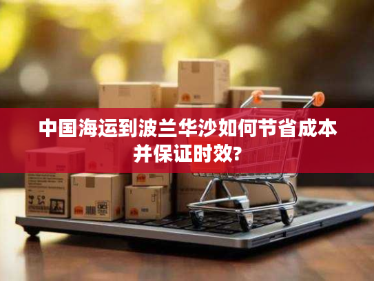 中国海运到波兰华沙如何节省成本并保证时效?