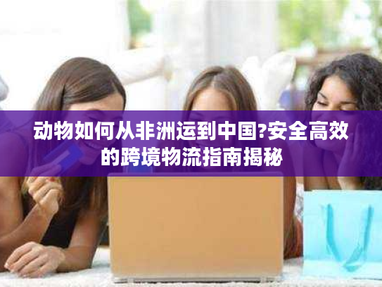 动物如何从非洲运到中国?安全高效的跨境物流指南揭秘