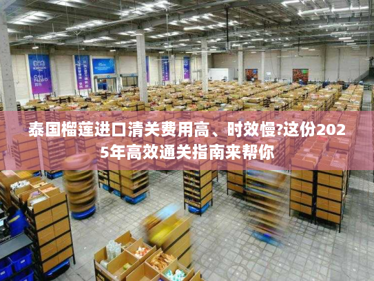 泰国榴莲进口清关费用高、时效慢?这份2025年高效通关指南来帮你