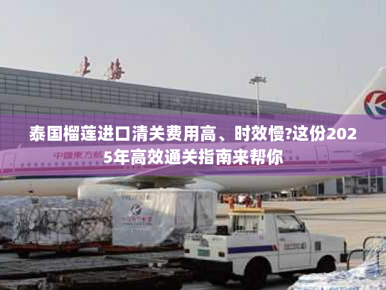 泰国榴莲进口清关费用高、时效慢?这份2025年高效通关指南来帮你