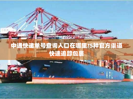 中通快递单号查询入口在哪里?5种官方渠道快速追踪包裹