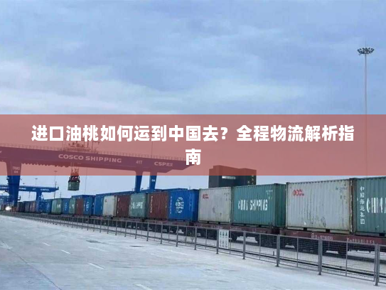 进口油桃如何运到中国去?全程物流解析指南 进口油桃如何运到中国去?全程物流解析指南
