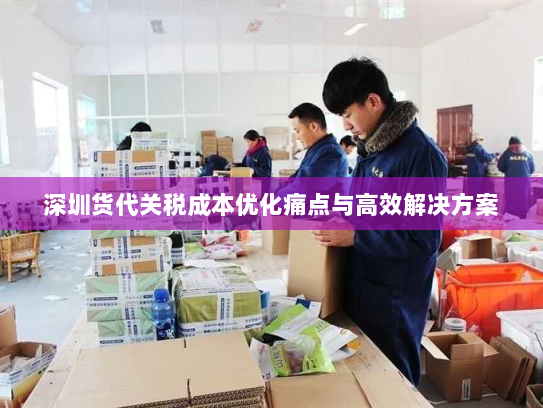 深圳货代关税成本优化痛点与高效解决方案 深圳货代关税成本优化痛点与高效解决方案