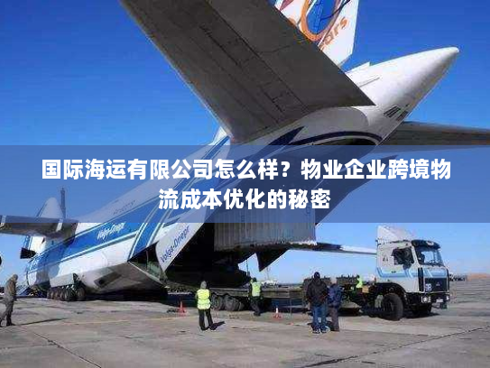 国际海运有限公司怎么样？物业企业跨境物流成本优化的秘密