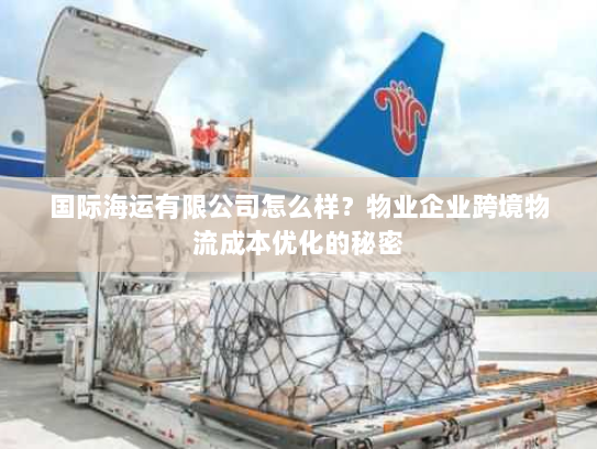 国际海运有限公司怎么样？物业企业跨境物流成本优化的秘密