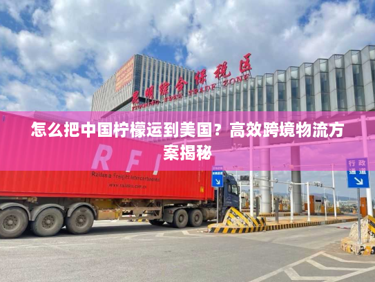 怎么把中国柠檬运到美国？高效跨境物流方案揭秘