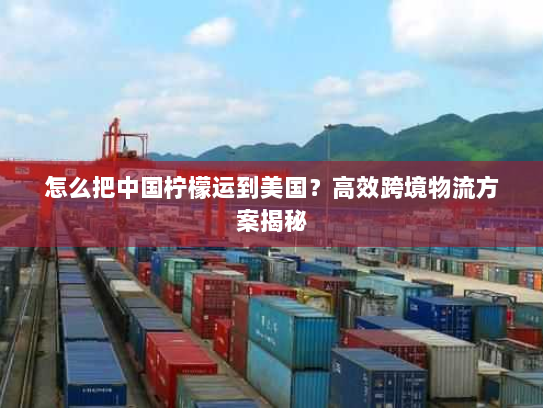 怎么把中国柠檬运到美国？高效跨境物流方案揭秘