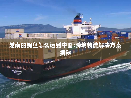 越南的鳄鱼怎么运到中国:跨境物流解决方案揭秘 越南的鳄鱼怎么运到中国:跨境物流解决方案揭秘