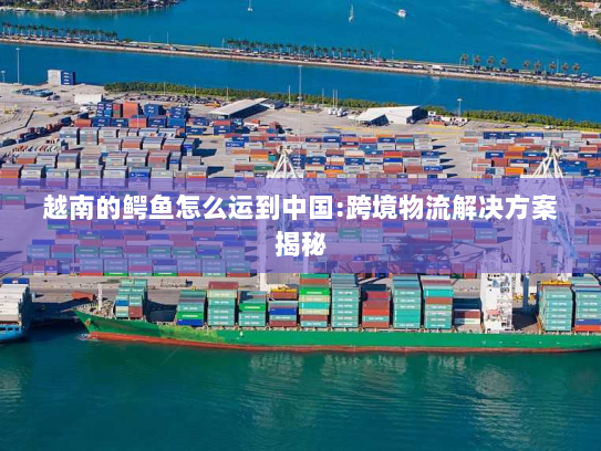 越南的鳄鱼怎么运到中国:跨境物流解决方案揭秘 越南的鳄鱼怎么运到中国:跨境物流解决方案揭秘
