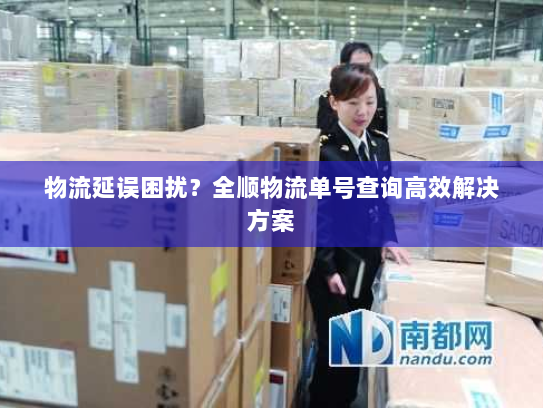 物流延误困扰？全顺物流单号查询高效解决方案