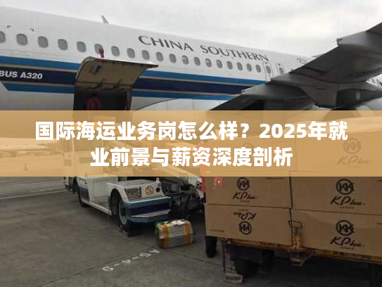 国际海运业务岗怎么样？2025年就业前景与薪资深度剖析