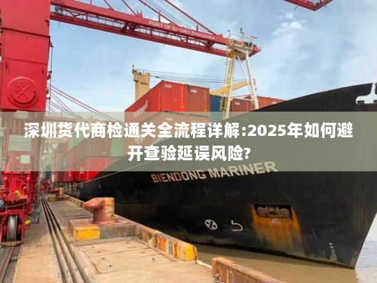 深圳货代商检通关全流程详解:2025年如何避开查验延误风险? 深圳货代商检通关全流程详解:2025年如何避开查验延误风险?