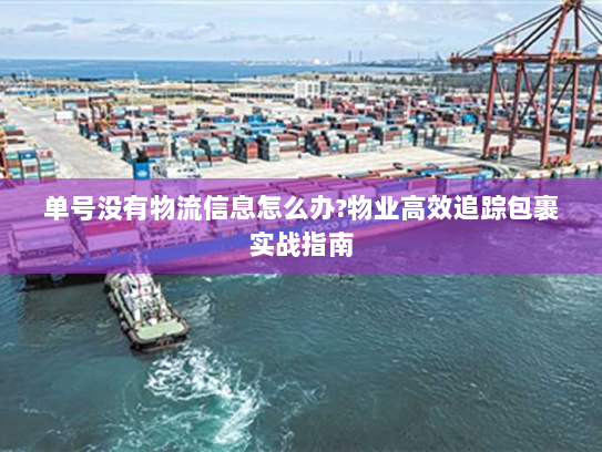 单号没有物流信息怎么办?物业高效追踪包裹实战指南 单号没有物流信息怎么办?物业高效追踪包裹实战指南