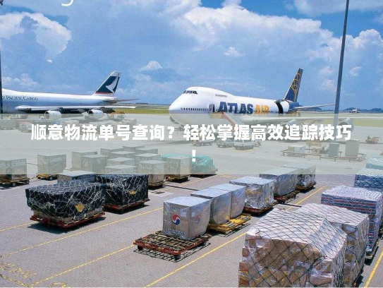 顺意物流单号查询?轻松掌握高效追踪技巧! 顺意物流单号查询?轻松掌握高效追踪技巧!