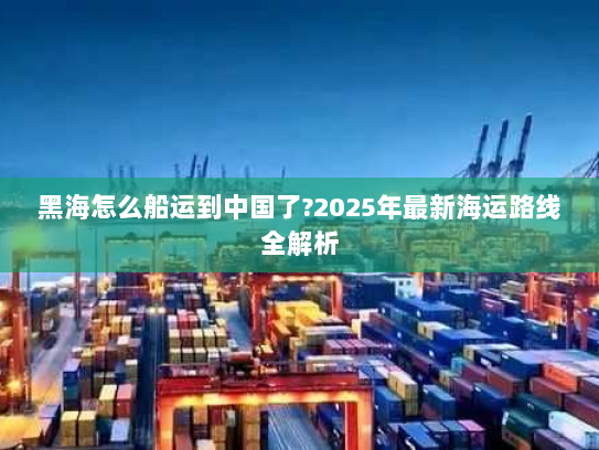 黑海怎么船运到中国了?2025年最新海运路线全解析