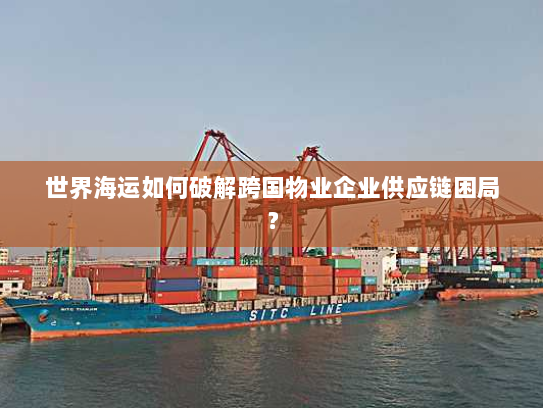 世界海运如何破解跨国物业企业供应链困局？