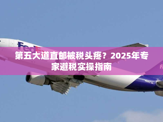 第五大道直邮被税头疼?2025年专家避税实操指南 第五大道直邮被税头疼?2025年专家避税实操指南