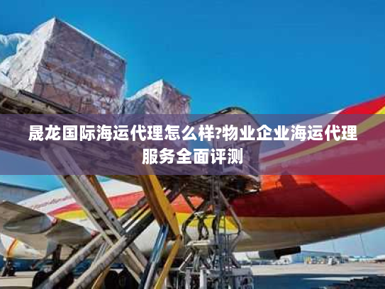 晟龙国际海运代理怎么样?物业企业海运代理服务全面评测