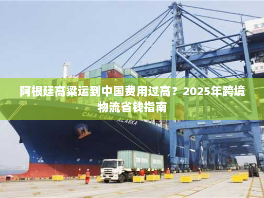 阿根廷高粱运到中国费用过高?2025年跨境物流省钱指南 阿根廷高粱运到中国费用过高?2025年跨境物流省钱指南