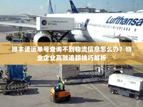 顺丰速运单号查询不到物流信息怎么办?物业企业高效追踪技巧解析 顺丰速运单号查询不到物流信息怎么办?物业企业高效追踪技巧解析