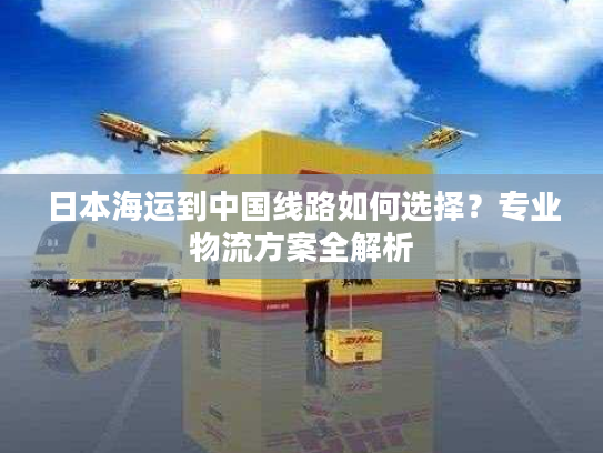 日本海运到中国线路如何选择？专业物流方案全解析