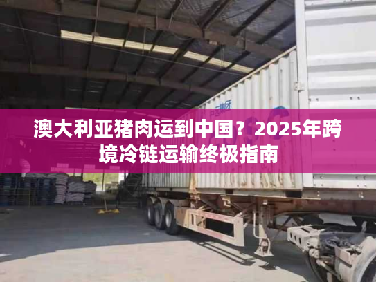 澳大利亚猪肉运到中国？2025年跨境冷链运输终极指南