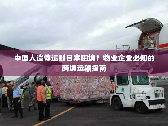 中国人遗体运到日本困境?物业企业必知的跨境运输指南 中国人遗体运到日本困境?物业企业必知的跨境运输指南
