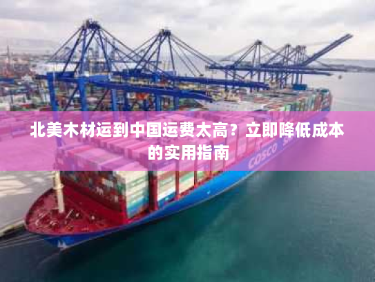 北美木材运到中国运费太高？立即降低成本的实用指南