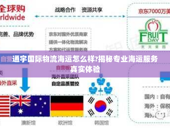 通宇国际物流海运怎么样?揭秘专业海运服务真实体验