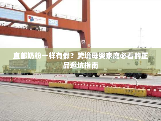 直邮奶粉一样有假?跨境母婴家庭必看的正品避坑指南 直邮奶粉一样有假?跨境母婴家庭必看的正品避坑指南