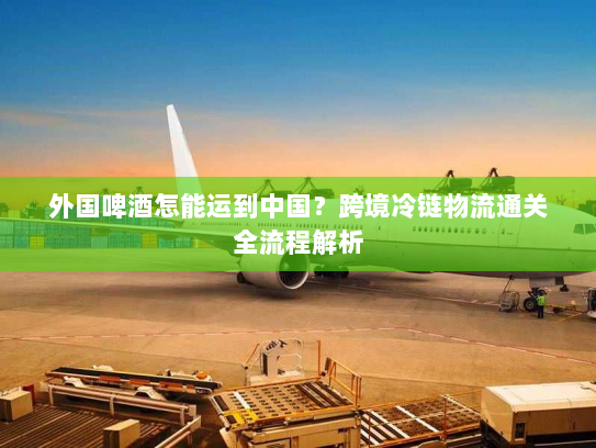 外国啤酒怎能运到中国？跨境冷链物流通关全流程解析