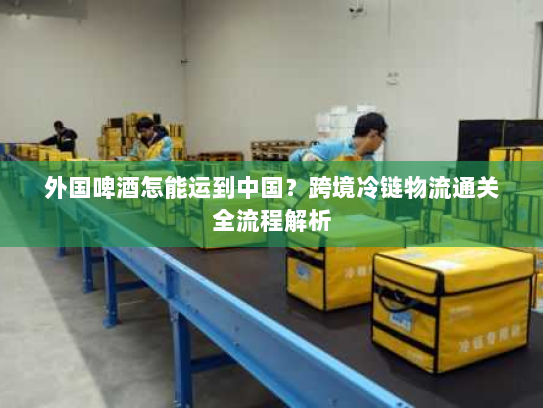 外国啤酒怎能运到中国?跨境冷链物流通关全流程解析 外国啤酒怎能运到中国?跨境冷链物流通关全流程解析
