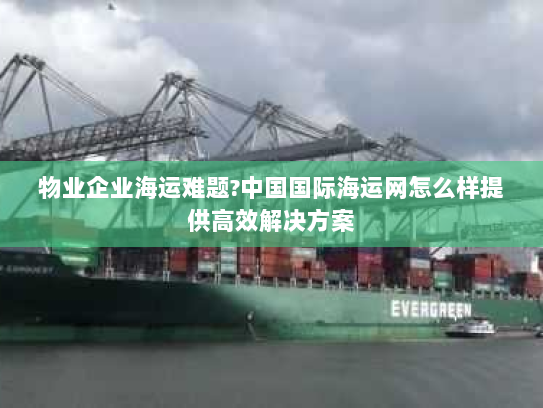 物业企业海运难题?中国国际海运网怎么样提供高效解决方案 物业企业海运难题?中国国际海运网怎么样提供高效解决方案