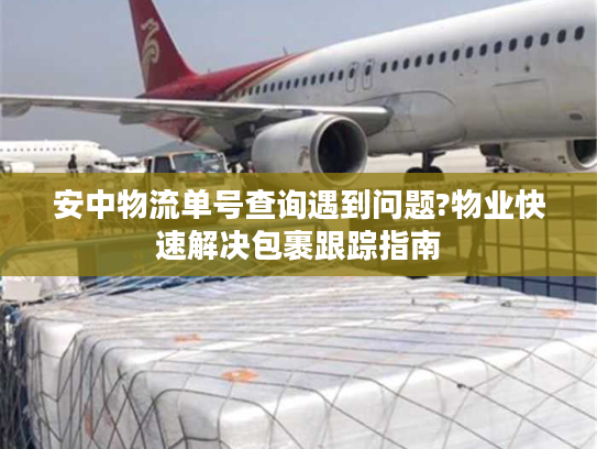 安中物流单号查询遇到问题?物业快速解决包裹跟踪指南