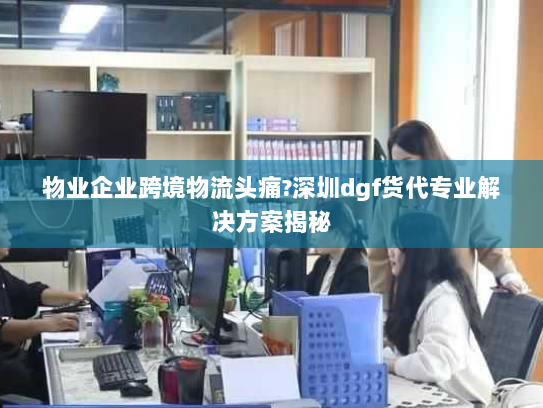 物业企业跨境物流头痛?深圳dgf货代专业解决方案揭秘 物业企业跨境物流头痛?深圳dgf货代专业解决方案揭秘