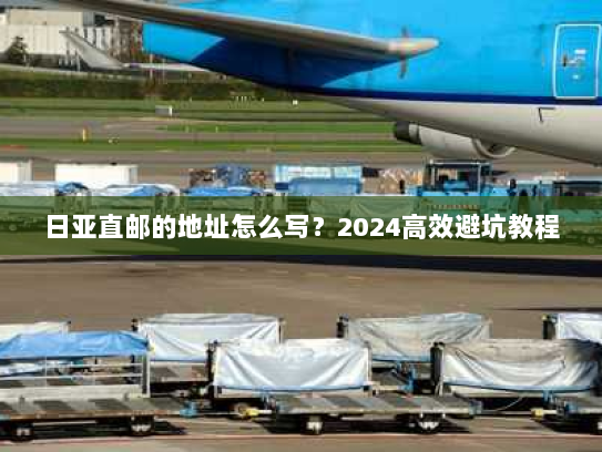 日亚直邮的地址怎么写?2024高效避坑教程 日亚直邮的地址怎么写?2024高效避坑教程