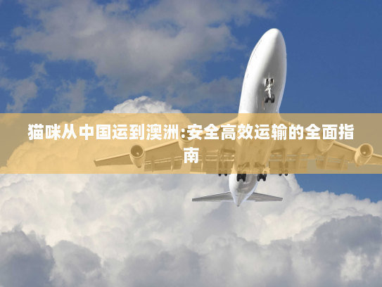 猫咪从中国运到澳洲:安全高效运输的全面指南